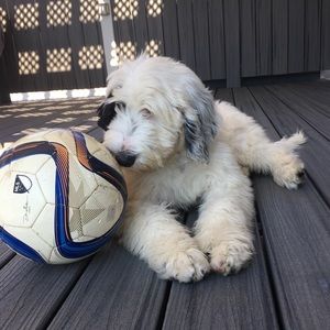 Meet your Posher, Arielle